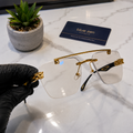 Cheetah Intelligent Lens Glasses | Anti Blue Light & Photochromic Sunglasses